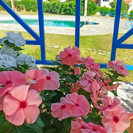 Ikaros Maisonette By Travel Pro Services - Halkidiki Дом отдыха